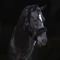 Covalliero Halfter SuperSoft Navy -Waldhausen Verkaufe kerbl 322463820.320c9c