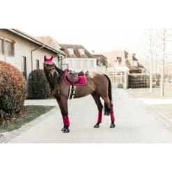 Kentucky Horsewear Kentucky Schabracke Velvet Springen Bordeaux Warmblut -Waldhausen Verkaufe kh 42579 16.92c550 1