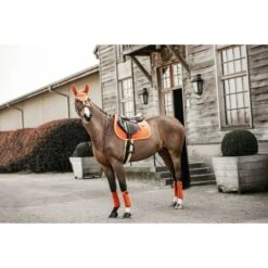 Kentucky Horsewear Kentucky Schabracke Velvet Springen Lila -Waldhausen Verkaufe kh 42579 45 4.c4057b 3