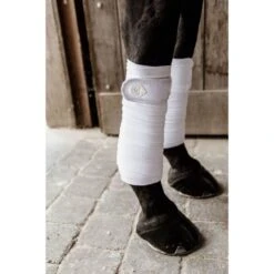 Kentucky Horsewear Kentucky Bandagen Polar Fleece Pearls Schwarz Warmblut -Waldhausen Verkaufe kh 485a1147.bc0cb3 1