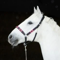 Kieffer Halfter Buenos Aires Messing Braun/Bordeaux/Rosa -Waldhausen Verkaufe kieffer 537 b buenos aires stallhalfter headcollar black chrome horse.cb9b50 2