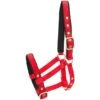 Kieffer Fohlenhalfter Nylon Rot Fohlen -Waldhausen Verkaufe kieffer 553 fohlen 5.07252a 1