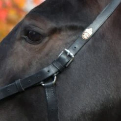 Kieffer Kapzaum Perfect Schwarz Vollblut/Warmblut -Waldhausen Verkaufe kieffer 618 kappzaum perfect 2.56cdb2