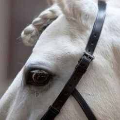 Kieffer Kapzaum Anja Beran Schwarz -Waldhausen Verkaufe kieffer 619 kappzaum a beran 1.0eb974