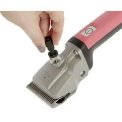 Aesculap Grooming Bag + Drehmomentschlüssel -Waldhausen Verkaufe kommer afbeelding momentsleutel econom bonum bij de bonum 2.766f0a