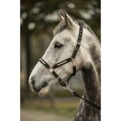 Lami-Cell Halfter Sparkling Schwarz/Rosa Warmblut -Waldhausen Verkaufe lc 555 014 355 ambi4.768681