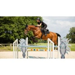 LeMieux Schabracke Crystal Suede Close Contact Schwarz -Waldhausen Verkaufe lemieux 1s6a0338 edit copy.9e300a 1