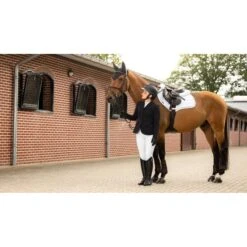 LeMieux Schabracke Crystal Suede Close Contact Schwarz -Waldhausen Verkaufe lemieux 1s6a9757 edit copy.5afb42 1