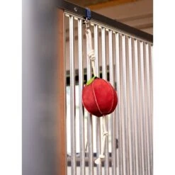 LeMieux Horse Toy Cupcake -Waldhausen Verkaufe lemieux 3n6a4599 edit copy.af1656