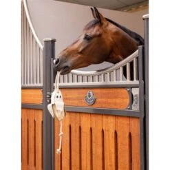 LeMieux Horse Toy Cupcake -Waldhausen Verkaufe lemieux 3n6a4666 edit copy.98abfb