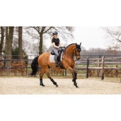 LeMieux Schabracke Prosport Plain Sq D-Ring DR Grün L (Full) -Waldhausen Verkaufe lemieux it01285 lifestyle suededressagesquare grey 2 copy.3e7b9f 4