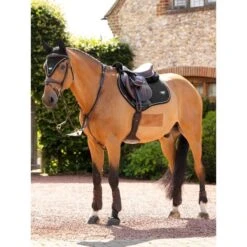LeMieux Satteldecke Jumping Puissance Wildleder Schwarz -Waldhausen Verkaufe lemieux it03806 lifestyle puissancesuedeccpad black 9 copy.69a4bb 1