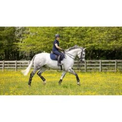 LeMieux Satteldecke Work Springen Navy L -Waldhausen Verkaufe lm 3n6a1150 edit copy.4c0533