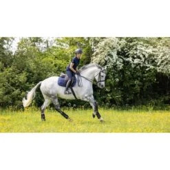 LeMieux Satteldecke Work Springen Mink L -Waldhausen Verkaufe lm 3n6a1485 edit copy.6b0163 1