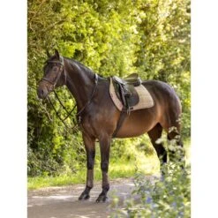 LeMieux Satteldecke Work Springen Navy L -Waldhausen Verkaufe lm 3n6a3151 edit copy.568daf