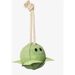 LeMieux Spielzeug Paard Sprout Sprout -Waldhausen Verkaufe lm 3n6a3433 edit copy 1.628ef2