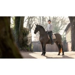 LeMieux Schabracke Work Dressur Navy L -Waldhausen Verkaufe lm 3n6a8997 edit copy.42c52d