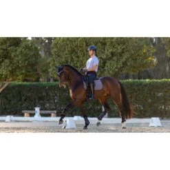LeMieux Schabracke Self-Cool Grip EuroJump Dressur Grau L (Warmblut) -Waldhausen Verkaufe lmx g0a6061 hr.fd4303 1