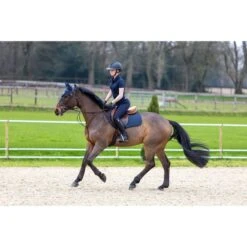 LeMieux Schabracke Self-Cool Grip EuroJump Springen Weiß L (Warmblut) -Waldhausen Verkaufe lmx g0a9530 hr.16db06 2