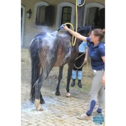 Magic Brush Shampoo Wash&Shine Sensitive 500ml -Waldhausen Verkaufe mbrush shampoo algmeen 4.119a2f