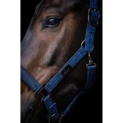 Mrs. Ros Halfter-Set Festive Schwarz -Waldhausen Verkaufe mrs ros 4q6a3929 533855e9 856d 4e6d a4ad 4ab5512771b8.f161b7