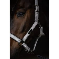 Mrs. Ros Halfter-Set Festive Schwarz -Waldhausen Verkaufe mrs ros 4q6a3973 cb138ac6 b214 44a7 b1e9 29728aa9a28a.244c82