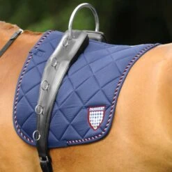 Passier Longiergurt Horst Becker Schwarz Warmblut -Waldhausen Verkaufe passier 900 longurhb sch pferd 3800x3800.2f5178