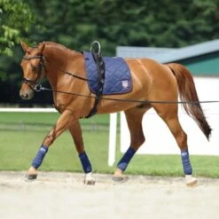 Passier Ausbindezügel Horst Becker Schwarz Warmblut