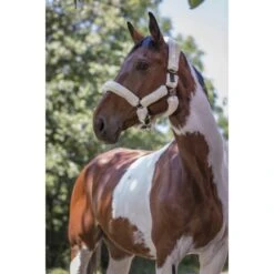 Norton Halfter Vollständig Kunstschaffell Schwarz -Waldhausen Verkaufe productekkia bruin wit.7b7a63 1