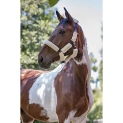 Norton Halfter Vollständig Kunstschaffell Schwarz -Waldhausen Verkaufe productekkia marineblauw wit.d27e62 1