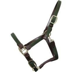 Kentucky Horsewear Kentucky Halfter Plaited Nylon Grau 40 Kentucky Horsewear Kentucky Halfter Plaited Nylon Grau -Waldhausen Verkaufe productkentucky 42516 74.8baf53