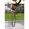 Kentucky Horsewear Kentucky Führstrick Braun 2m -Waldhausen Verkaufe productkentucky 42527.b43cc0