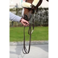 Kentucky Horsewear Kentucky Führstrick Braun 2m