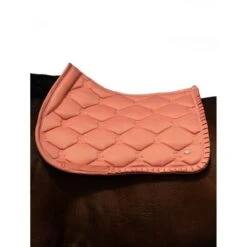 PS Of Sweden Schabracke Ruffle Springen Schwarz -Waldhausen Verkaufe ps dsc 2121jpgbewerkte.37fad0