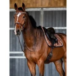 PS Of Sweden Schabracke Stardust Springen Weiß -Waldhausen Verkaufe ps dsc 2376 2.f12aa2