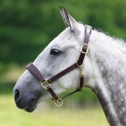 Blenheim By Shires Halfter Leder Rosa/Natur/Navy Vollblut -Waldhausen Verkaufe sh 346 havana.664701