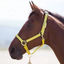 Shires Halfter Topaz Nylon Blau -Waldhausen Verkaufe sh 387 yellow.8dc66a 2