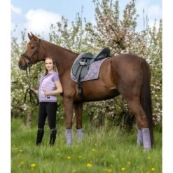 Waldhausen Schabracke Valencia Dressur Lavendel/Silber -Waldhausen Verkaufe wald 1114622 d 37.ec3c3a 2