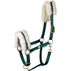 Waldhausen Halfter Modern Rosé Fir Green Warmblut