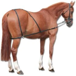 Waldhausen Longierhilfszügel Combi Schwarz Warmblut