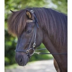 Waldhausen Isländer-Trense Strokkur Schwarz/Messing -Waldhausen Verkaufe wald 2278901 4.b9024e