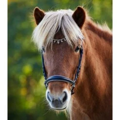 Waldhausen Isländer-Trense Ice Crystal Braun/Messing -Waldhausen Verkaufe wald 2279201 7.9fc9f7 1