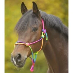 Waldhausen Knotenhalfter Paretti Neon Multicolor One Size