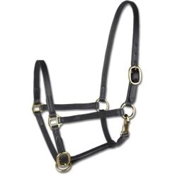 Star Show-Halfter Fohlen Weiß -Waldhausen Verkaufe wald 50436201 pon 2.630ae8