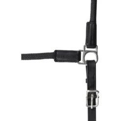 Waldhausen Halfter Nevada Braun/gold -Waldhausen Verkaufe wald 5050201 pon 12.c21cf6 1