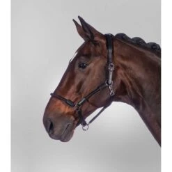 Waldhausen Halfter Nevada Schwarz/Silber -Waldhausen Verkaufe wald 5050201 pon 13.88af34