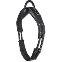 Waldhausen Longiergurt Mit Handgriff Schwarz
