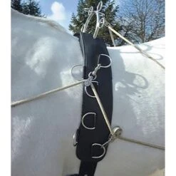 Waldhausen Longiergurt Felix Brasseur Schwarz