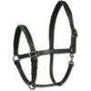 Waldhausen Halfter X-Line Finesse II Leder Schwarz VB -Waldhausen Verkaufe wald 9564911 vb 02.618666