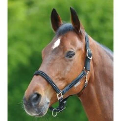 Waldhausen Halfter Crystal Night Blue -Waldhausen Verkaufe waldhausen 5045501 pon 68.5749f8